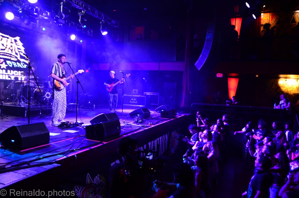Wide view of the band and audience under blue lights